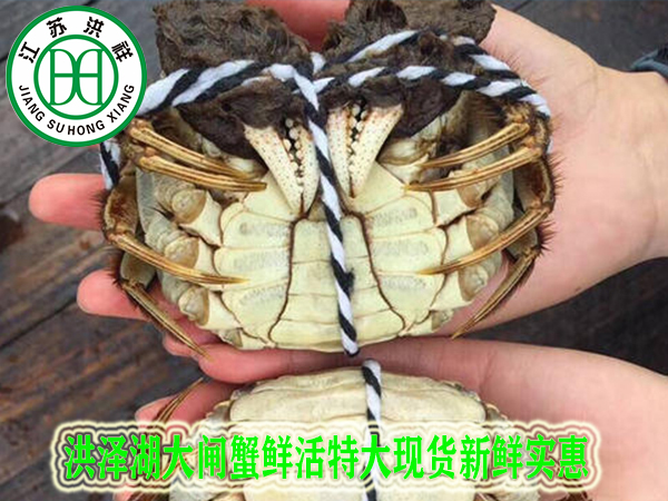 前處理檢修平臺